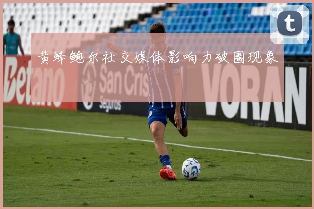 黄蜂鲍尔社交媒体影响力破圈现象