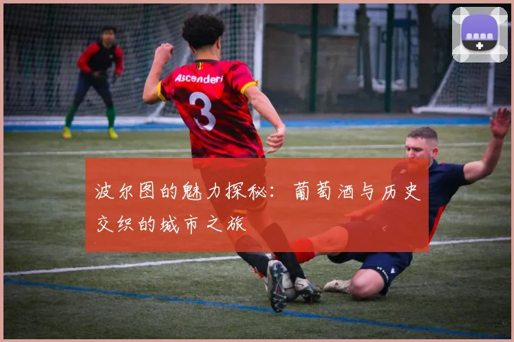 波尔图的魅力探秘：葡萄酒与历史交织的城市之旅