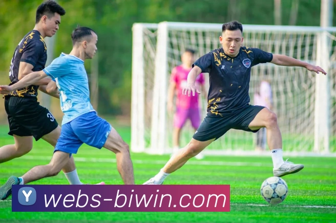 biwin平台生态图